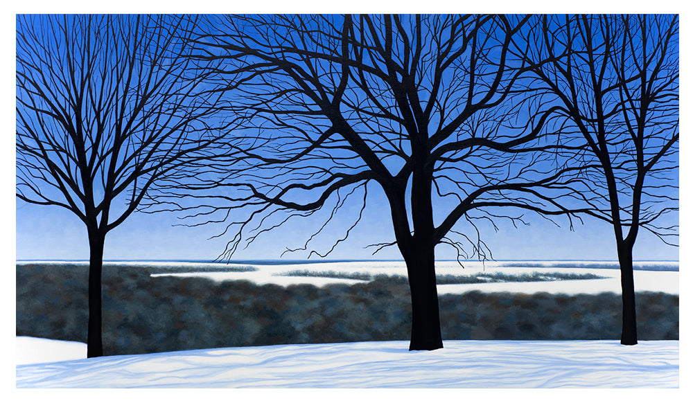 A bright winter sun casts blue shadows on snowy fields.