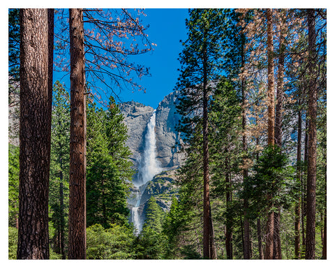 "Bridalveil Falls, Yosemite National Park"