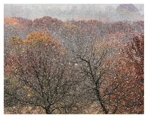 "Late Fall Snow Storm"